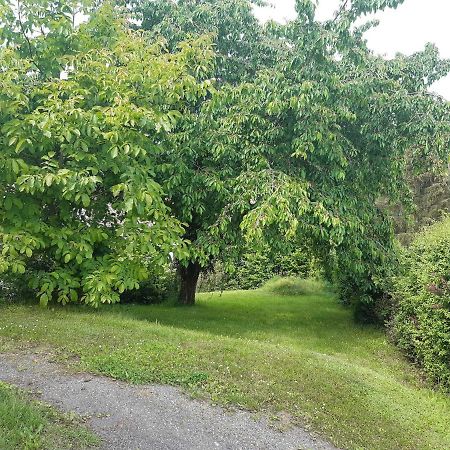 Ferienwohnung-Vivienne Hemfurth-Edersee Exteriör bild