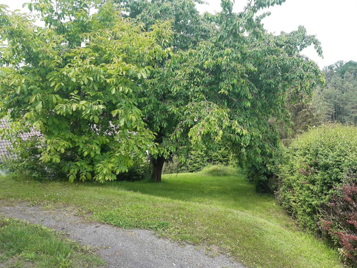 Ferienwohnung-Vivienne Hemfurth-Edersee Exteriör bild